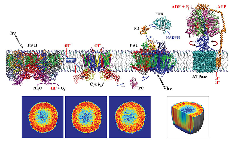 Biophysics at Purdue