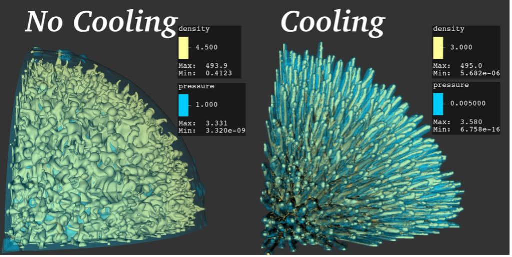 Three-dimensional visualization of the remnant structure